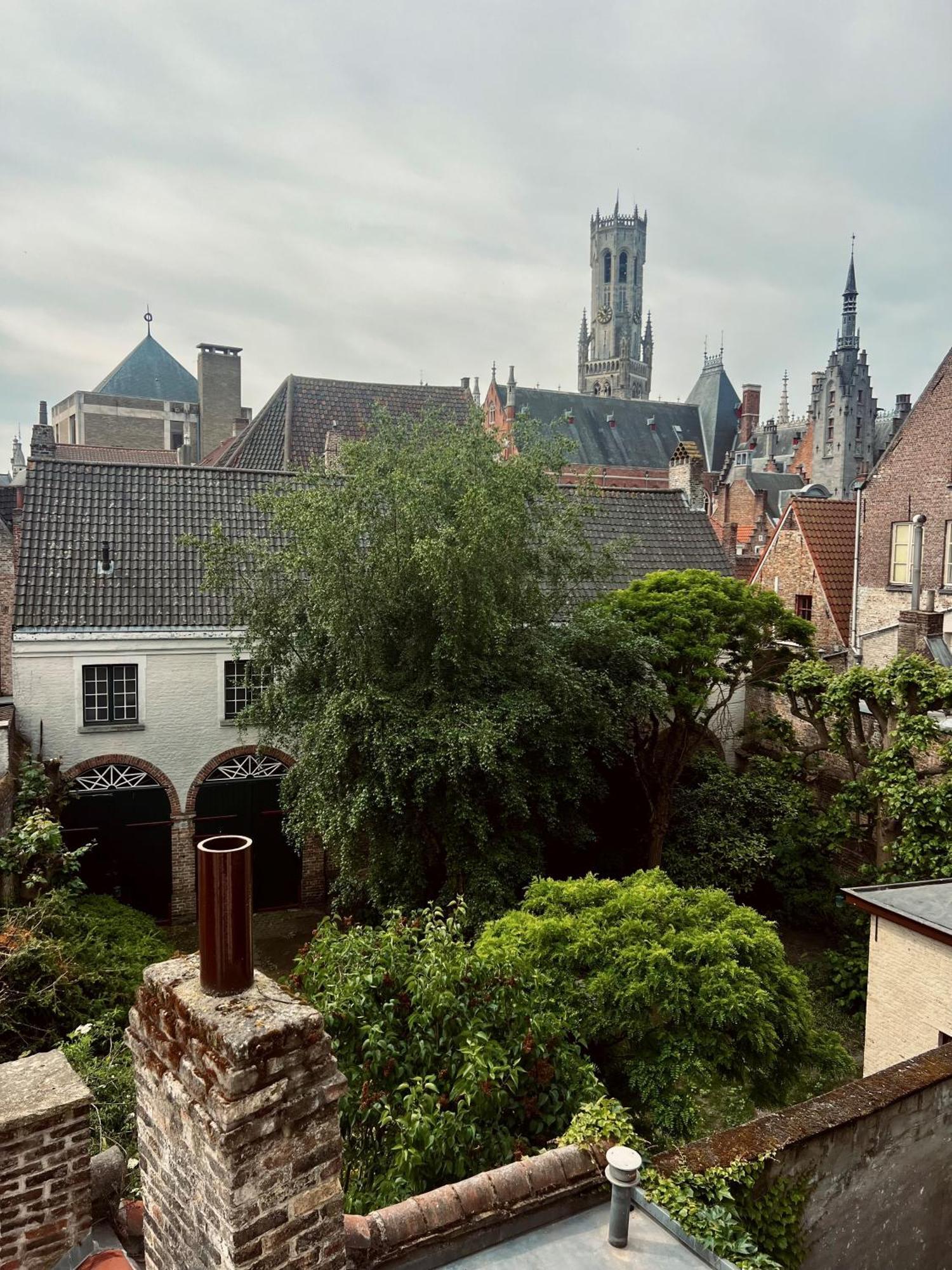 Rose Red Bruges